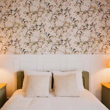 Rafa Кошта-Нова