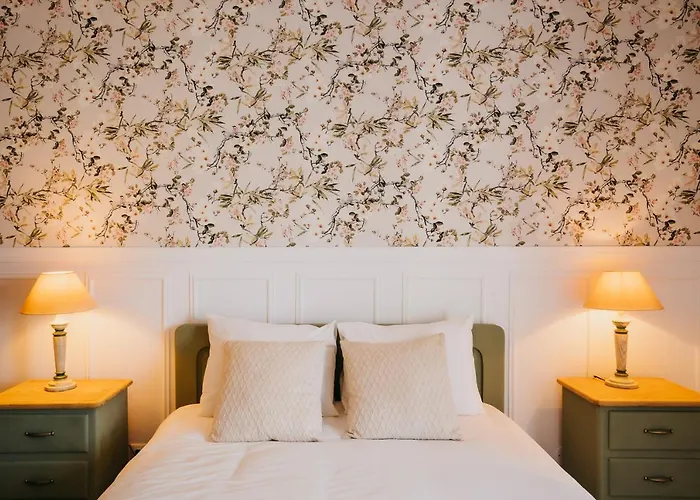 Rafa Кошта-Нова